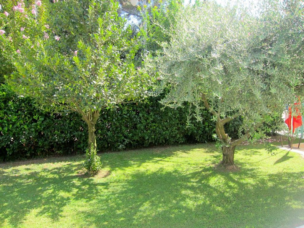 Hotel Poseidon Marina di Pietrasanta Eksteriør billede